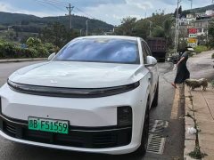Li Auto L7 Pro - ფოტო 1
