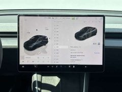 Tesla Model Y Rear-Wheel Drive - ფოტო 13