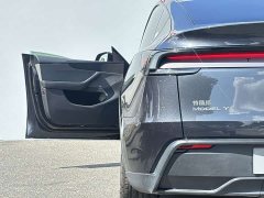 Tesla Model Y Rear-Wheel Drive - ფოტო 6