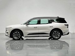 BMW Edge L 2.0T EcoBoost AWD Seven-Seat Premier - ფოტო 3
