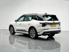 BMW Edge L 2.0T EcoBoost AWD Seven-Seat Premier - ფოტო 4