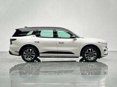 BMW Edge L 2.0T EcoBoost AWD Seven-Seat Premier - ფოტო 7