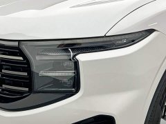 BMW Edge L 2.0T EcoBoost AWD Seven-Seat Premier - ფოტო 9