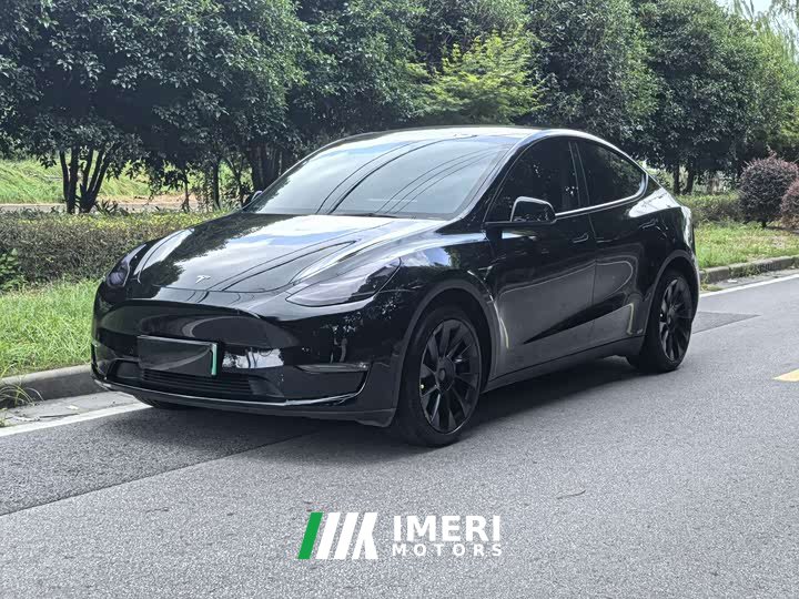 Tesla Model Y Standard Range RWD - car from China