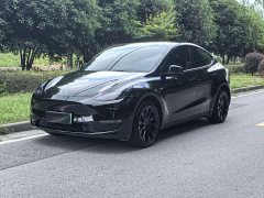 Tesla Model Y Standard Range RWD - photo 1