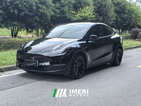 2021 Tesla Model Y Standard Range RWD - ავტომობილი ჩინეთიდან