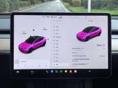Tesla Model Y Standard Range RWD - photo 13
