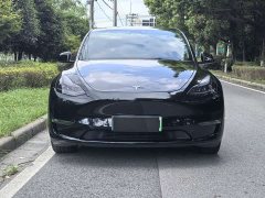 Tesla Model Y Standard Range RWD - photo 2