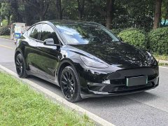 Tesla Model Y Standard Range RWD - photo 3