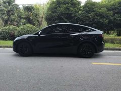 Tesla Model Y Standard Range RWD - photo 4