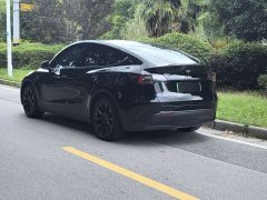 Tesla Model Y Standard Range RWD - photo 5