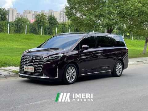 2024 Buick GL8 Avenir Six-Seater Wisdom Courtesy Edition