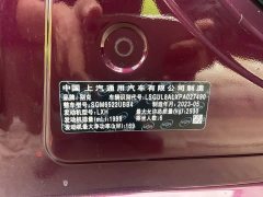 Buick GL8 2023 Avenir Six-Seater Wisdom Courtesy Edition - ფოტო 20