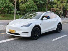 Tesla Model Y Long Range All-Wheel Drive - ფოტო 1