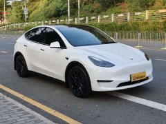 Tesla Model Y Long Range All-Wheel Drive - ფოტო 2