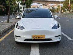Tesla Model Y Long Range All-Wheel Drive - ფოტო 3