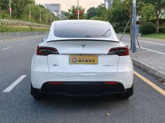Tesla Model Y Long Range All-Wheel Drive - ფოტო 5
