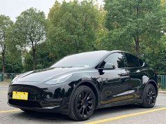 Tesla Model Y 2022 Long Range All-Wheel Drive - ფოტო 1