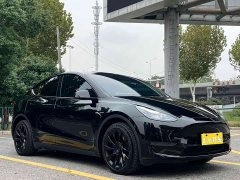 Tesla Model Y 2022 Long Range All-Wheel Drive - ფოტო 2
