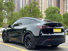 Tesla Model Y 2022 Long Range All-Wheel Drive - ფოტო 3