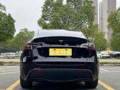 Tesla Model Y 2022 Long Range All-Wheel Drive - ფოტო 5