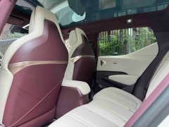 Zeekr Geely Zeekr X 2025 Four-Seat Rear-Drive Rubik's Cube Edition - ფოტო 9