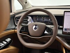 Denza D9 2022 DM-i 970 AWD Flagship - ფოტო 12