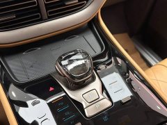 Denza D9 2022 DM-i 970 AWD Flagship - ფოტო 19