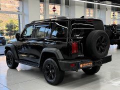 Tank 300 Off-Road Edition 2.0T Conqueror - ფოტო 14