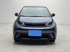 BYD Dolphin 420km Freedom Edition - ფოტო 1