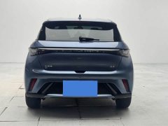 BYD Dolphin 420km Freedom Edition - ფოტო 4