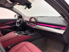 BMW 5 Series 530Li Premier M Sport Package - ფოტო 11