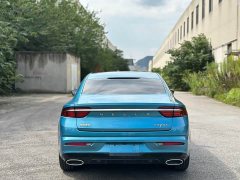 Geely Xingui Xingrui 2.0T Diesel Premium Edition - фото 5