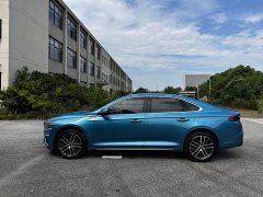 Geely Xingui Xingrui 2.0T Diesel Premium Edition - фото 7