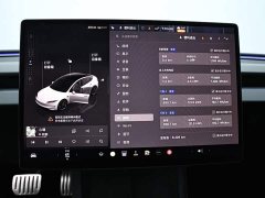 Tesla Model 3 High Performance All-Wheel Drive - ფოტო 14