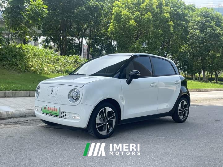 Ora Black Cat 351km Comfort Ternary Lithium - ავტომობილი ჩინეთიდან