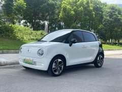 Ora Black Cat 351km Comfort Ternary Lithium - ფოტო 1