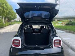 Ora Black Cat 351km Comfort Ternary Lithium - ფოტო 13