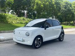Ora Black Cat 351km Comfort Ternary Lithium - ფოტო 2
