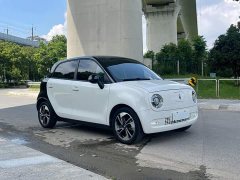 Ora Black Cat 351km Comfort Ternary Lithium - ფოტო 4