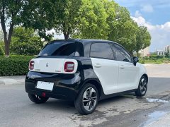 Ora Black Cat 351km Comfort Ternary Lithium - ფოტო 8