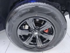 Tank 300 2021 Off-Road Edition 2.0T Conqueror - ფოტო 4