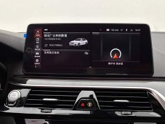 BMW 5 Series 530Li Luxury M Sport Package - ფოტო 13