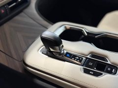 Lexus LM 2023 500h Six-Seat Premium Edition - ფოტო 8