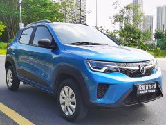 Dongfeng Nanotech EX1 Quality Edition - photo 2