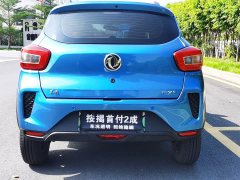 Dongfeng Nanotech EX1 Quality Edition - photo 4