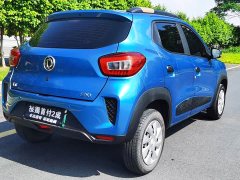 Dongfeng Nanotech EX1 Quality Edition - photo 7