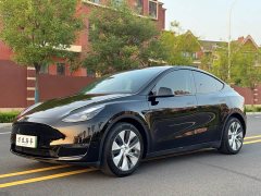 Tesla Model Y Standard Range RWD - ფოტო 1