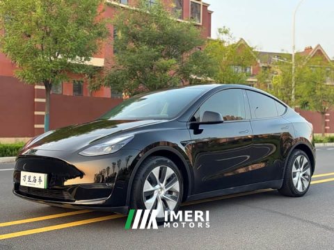 2021 Tesla Model Y Standard Range RWD - ავტომობილი ჩინეთიდან