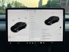 Tesla Model Y Standard Range RWD - ფოტო 17